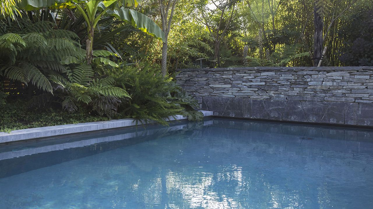 Ambiance tropicale margelle de piscine en ipe Piscine paysagée Gris anthracite 
