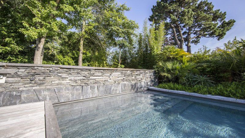 Ambiance tropicale piscine 1380x440 Piscine paysagée Gris anthracite 