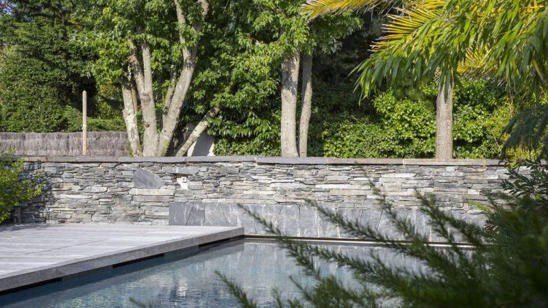 Ambiance tropicale piscine ambiance tropicale Piscine paysagée Gris anthracite 