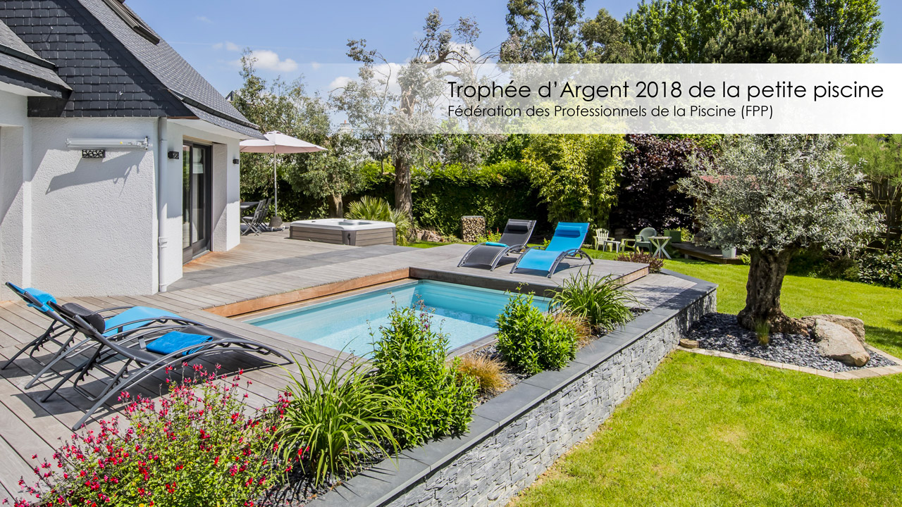 Pisciniste Constructeur De Piscine Lesprit Piscine