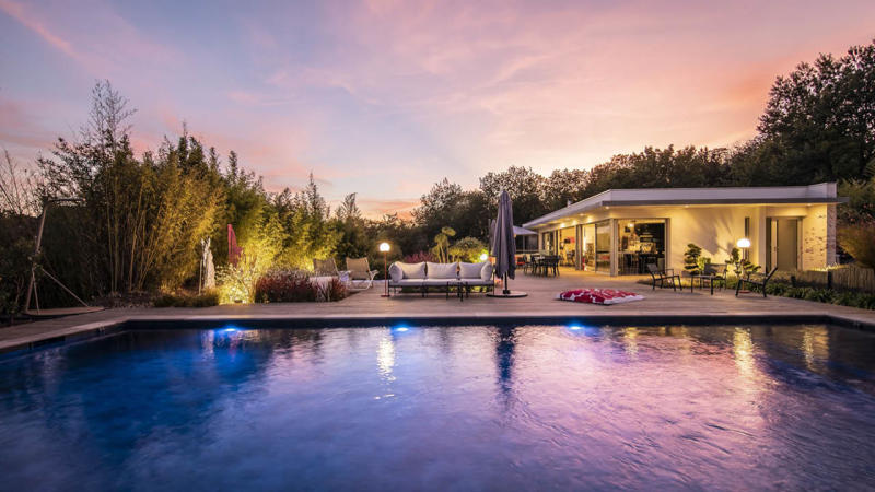 Piscine paysagée 3D Gris ardoise / La beauté des détails : piscine beton paysagee eau eclairee nuit