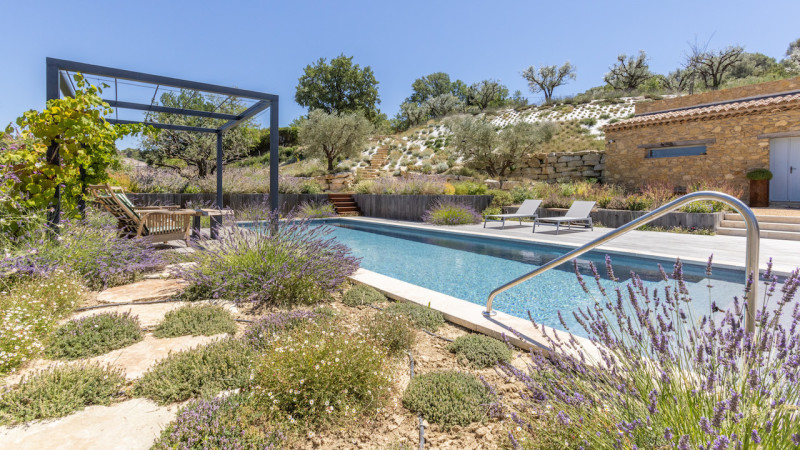 Le bassin des cigales piscine paysage lavande pergolas vignes esprit piscine 2022 Piscine paysagée 3D Gris béton 